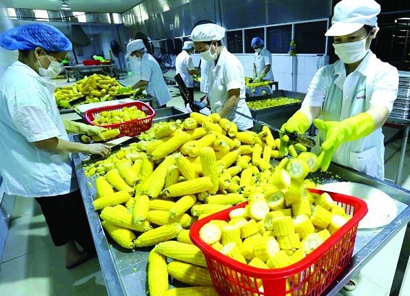 Xuất khẩu sang thị trường có ký kết FTA tăng trưởng tốt