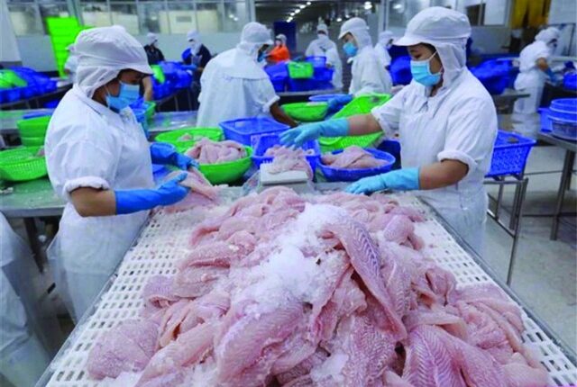 FTA – trợ lực thúc đẩy xuất khẩu cá tra