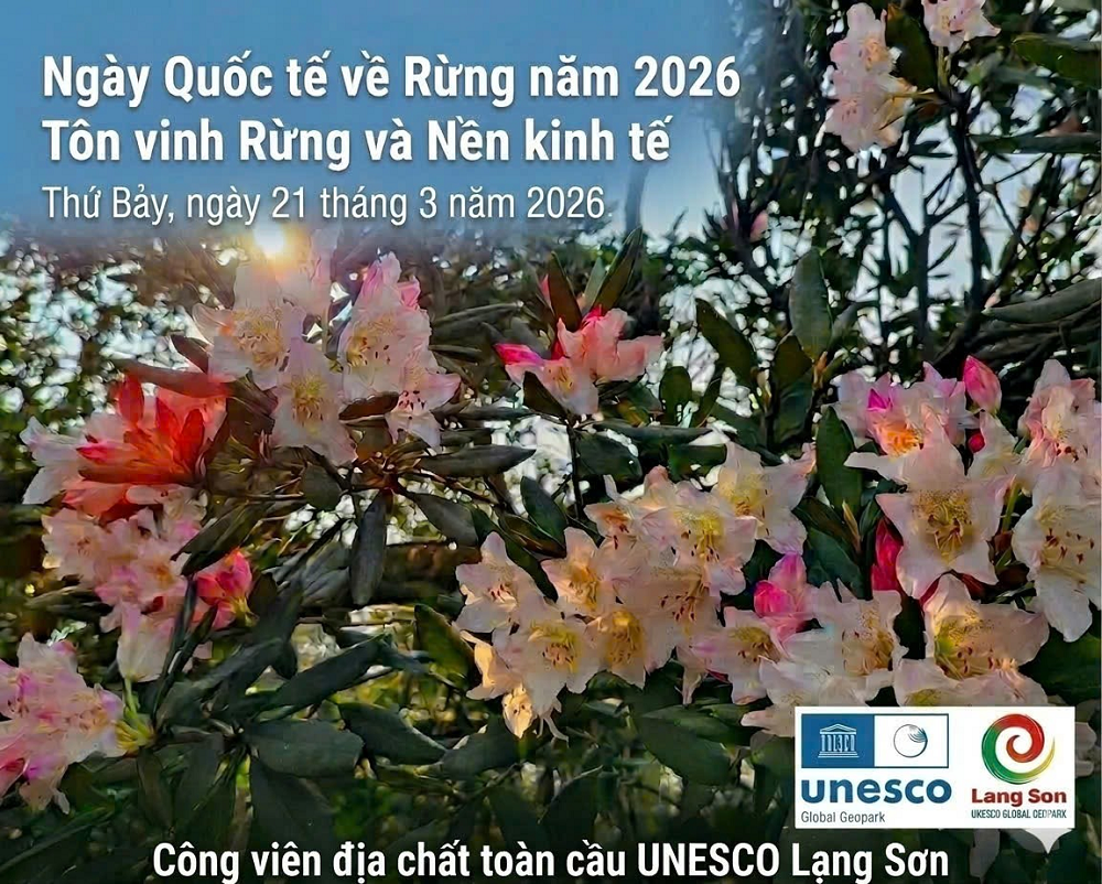 Hưởng ứng Ngày Quốc tế Rừng 21/3: Chung tay gìn giữ “lá phổi xanh”