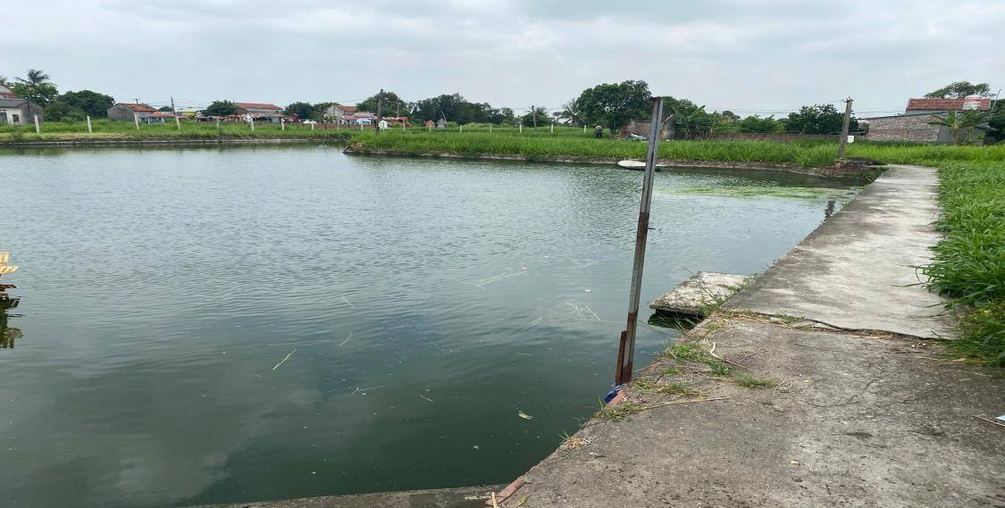 Chiếc áo phao tốt nhất mang tên “Kỹ năng”