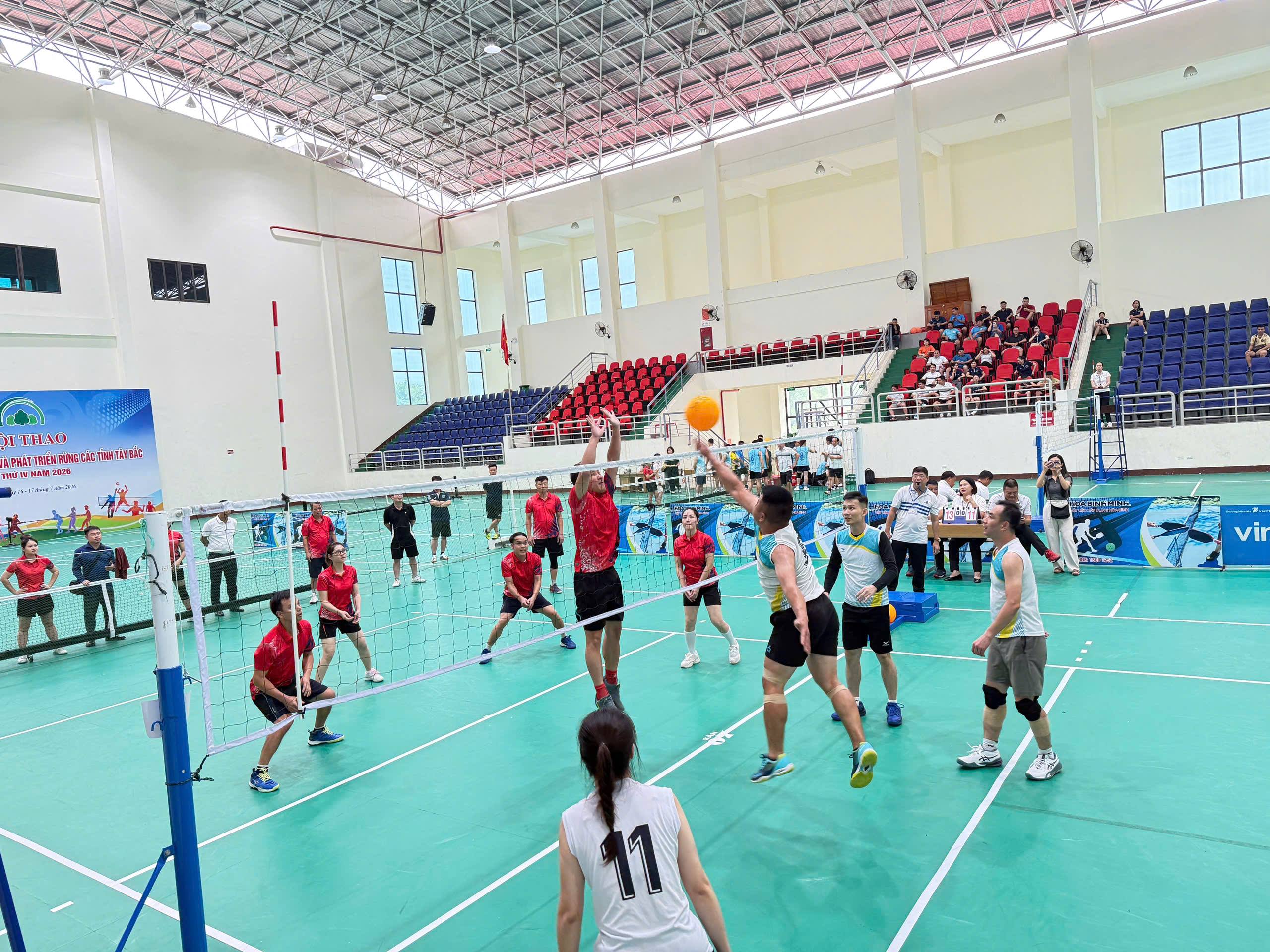 anh tin bai