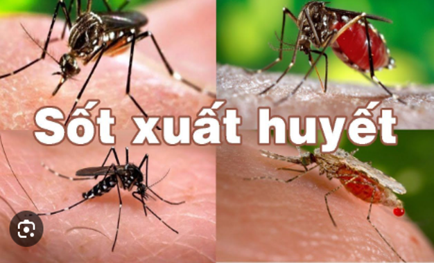HƯỞNG ỨNG NGÀY ASEAN PHÒNG, CHỐNG SỐT XUẤT HUYẾT NĂM 2026
