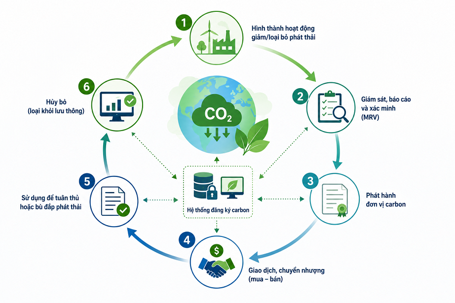 Cơ chế hoạt động của thị trường Carbon