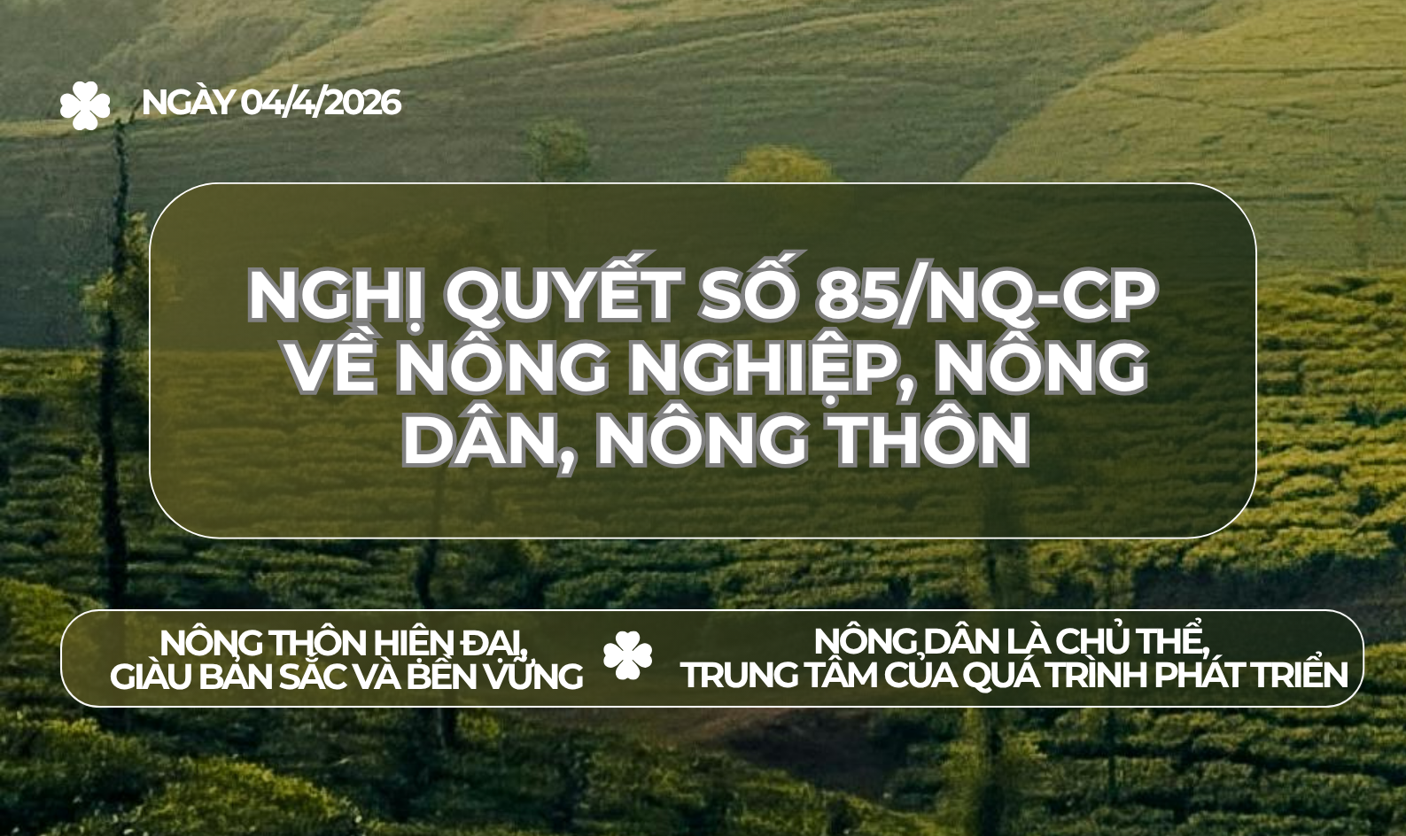 Nghị quyết số 85/NQ-CP ngày 04/4/26 về nông nghiệp, nông dân, nông thôn