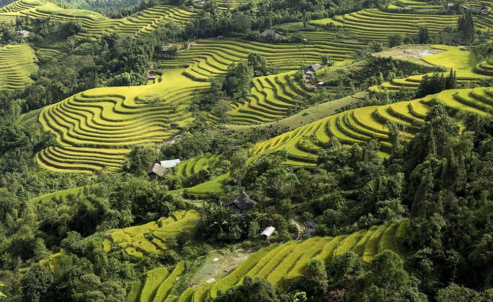 Giữ màu xanh đại ngàn từ “ý Đảng - lòng dân”: phát huy tri thức địa phương của đồng bào dân tộc thiểu số trong sử dụng và bảo vệ tài nguyên thiên nhiên    