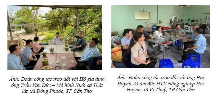 Description: Anh-tin-bai