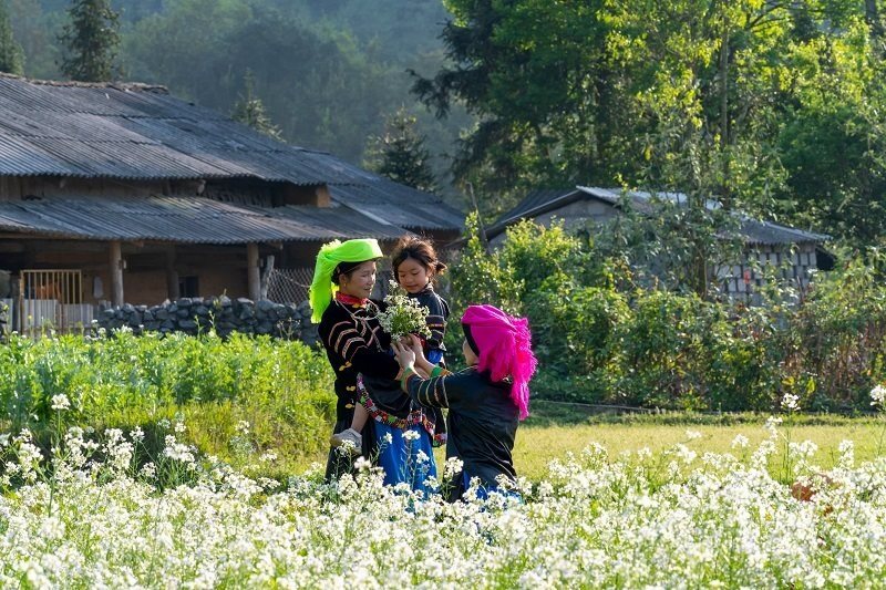 Luật tục, thiết chế cộng đồng và bảo vệ rừng thiêng của người Pu Péo: Một mô hình sinh thái - văn hóa đặc trưng vùng biên