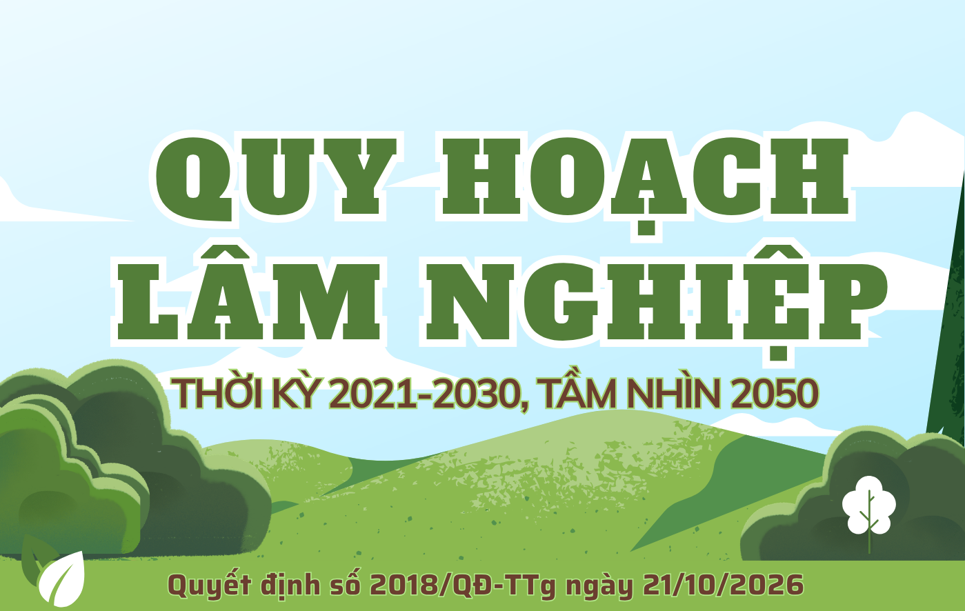 Quy hoạch lâm nghiệp thời kỳ 2021-2030, tầm nhìn 2050 dưới góc nhìn kinh tế