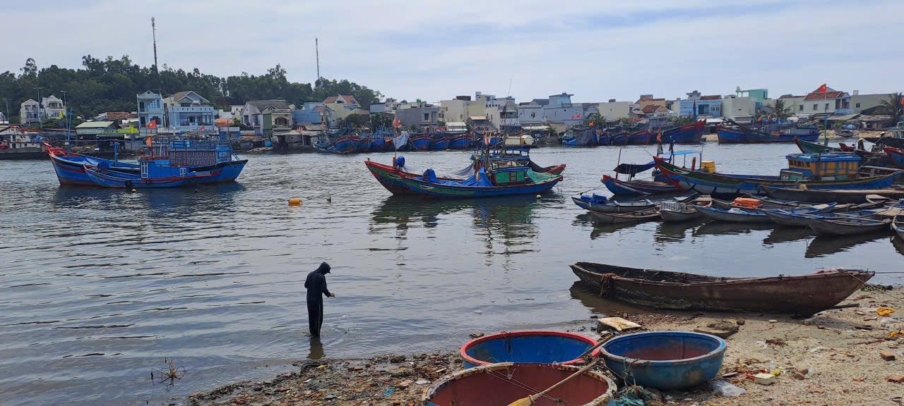 TỪ ÁP LỰC NỘI TẠI ĐẾN TÁI CẤU TRÚC SINH KẾ: CHUYỂN DỊCH LAO ĐỘNG TRONG NGƯ NGHIỆP VEN BIỂN TỈNH QUẢNG NGÃI