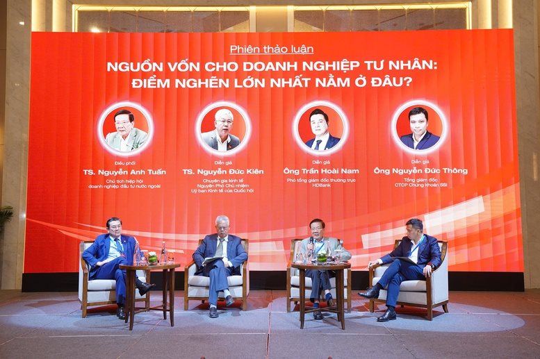 Tái cấu trúc dòng vốn cho kinh tế tư nhân phát triển bền vững- Ảnh 1.