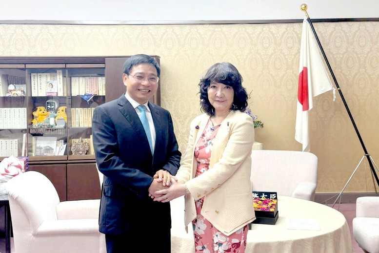 Việt Nam và Nhật Bản chia sẻ kinh nghiệm quản lý thuế, chuyển đổi số- Ảnh 2.