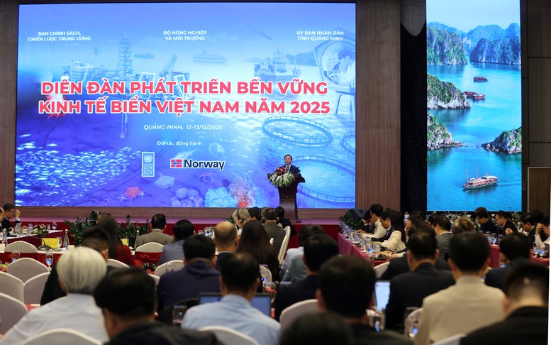 Tiếp tục hoàn thiện chính sách, cơ chế 'kinh tế biển xanh'- Ảnh 3.