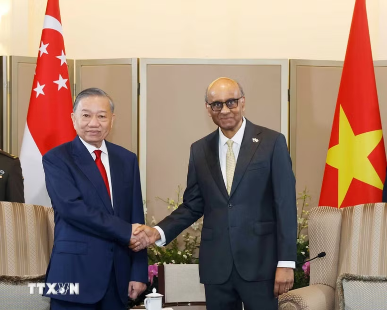 Tổng Bí thư, Chủ tịch nước Tô Lâm hội đàm với Tổng thống Singapore Tharman Shanmugaratnam- Ảnh 1.