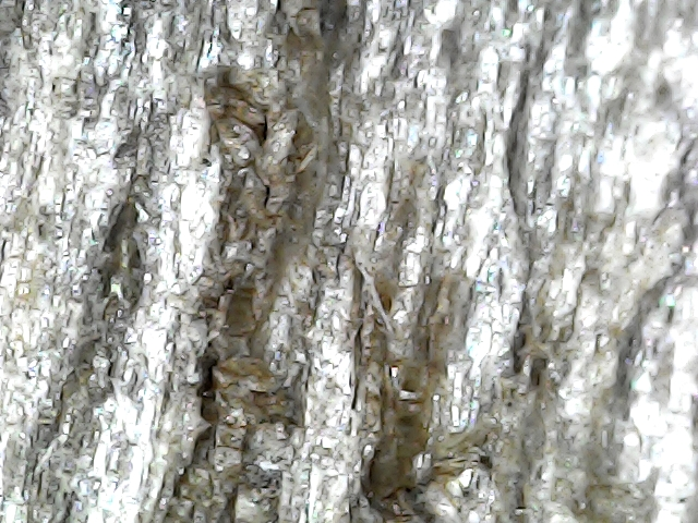 Picture 1