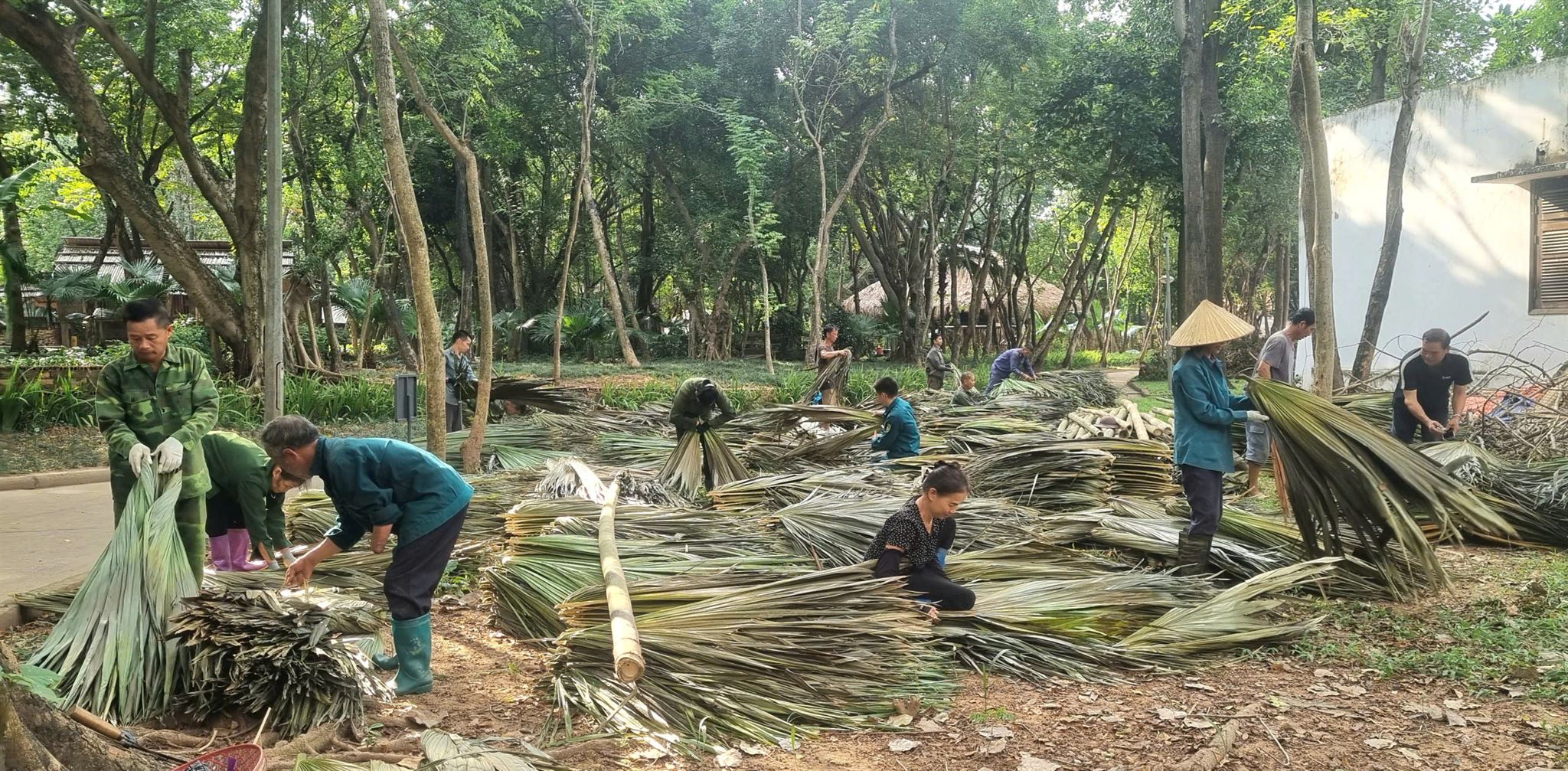 Những người thợ Tày bắt đầu sửa chữa và nâng cấp trưng bày nhà Tày tại Bảo tàng Dân tộc học Việt Nam