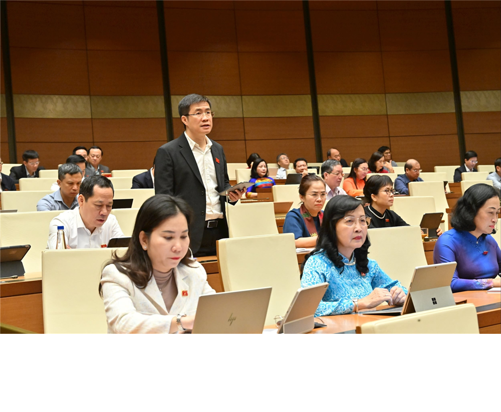 ĐBQH Hoàng Minh Hiếu (Nghệ An) phát biểu. Ảnh: Quang Khánh