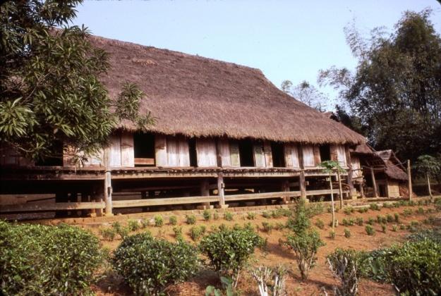 Mường
Hòa Bình
1992