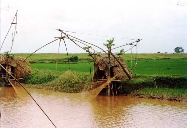 Việt
Nam Định
≈ 1990