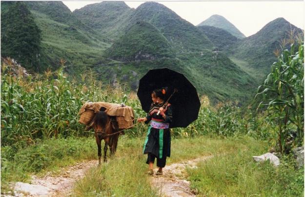 Cơ Lao
Hà Giang
1997