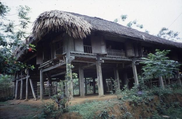 Tày
Thái Nguyên
1999
