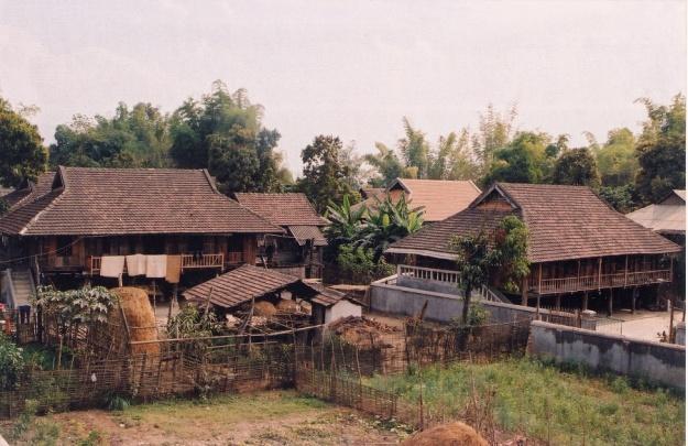 Thái (Thái Đen)
Điện Biên
2004