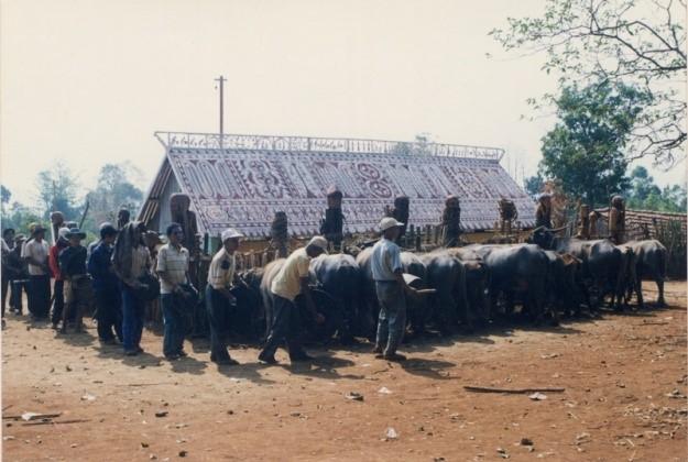 Gia-rai (Aráp)
Gia Lai
1998