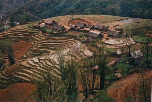 Hmông
Lào Cai
≈ 1990