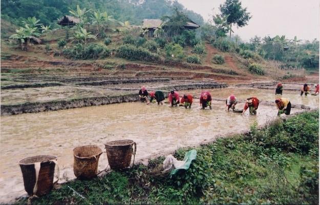 Pà Thẻn
Hà Giang
1997