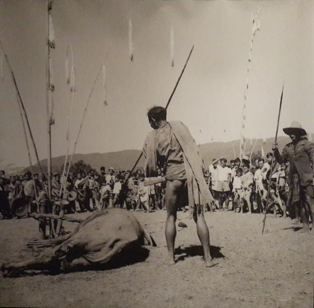 Đắk Tô, Kon Tum