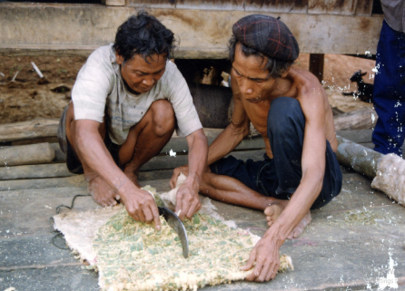 LÀM ÁO BẰNG VỎ CÂY (Hướng Hóa, Quảng Trị, 1996)