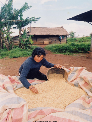 DÙNG GÙI ĐỰNG THÓC (Đơn Dương, Lâm Đồng, 2004)