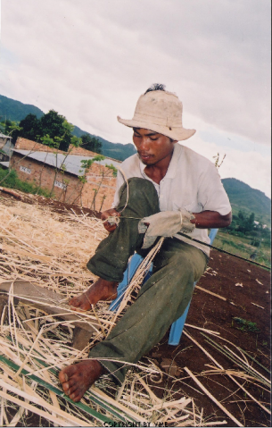 VÓT NAN ĐỂ ĐAN ĐÓ (Đơn Dương, Lâm Đồng, 2004)