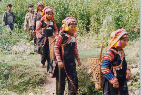 XUỐNG CHỢ (Mường Tè, Lai Châu, 1996)