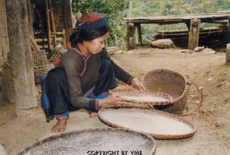 SÀNG GẠO (Mường Tè, Lai Châu, 1996)