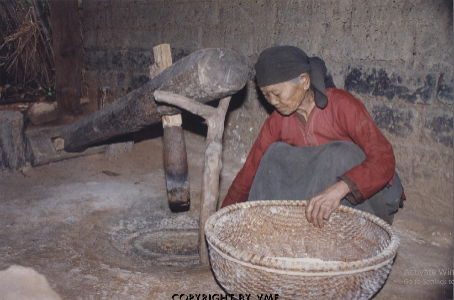 GIÃ GẠO (Bắc Giang, ~1997, TTXVN)