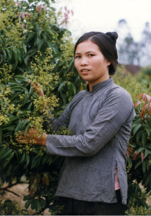 CHIẾC ÁO NGẮN TRUYỀN THỐNG CỦA NGƯỜI PHỤ NỮ NGÁI Ở BẮC GIANG (Lục Ngạn, Bắc Giang, 1997)