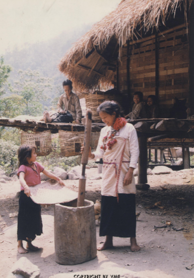 GIÃ GẠO (Lai Châu, ~ 1997, TTXVN)