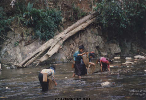BẮT CÁ SUỐI (Tương Dương, Nghệ An, 1996)