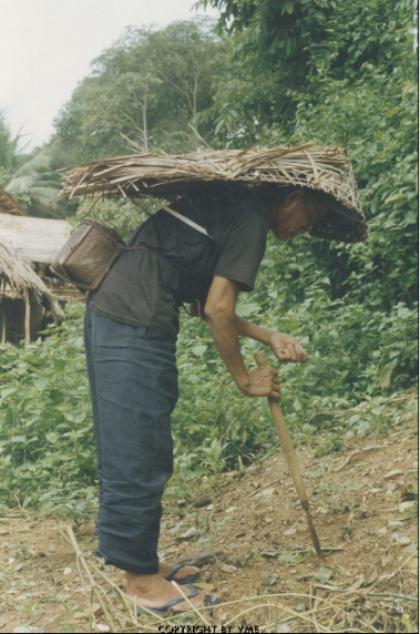 MẶC ÁO TƠI CHỌC LỖ TRA HẠT (Tương Dương, Nghệ An, 1996)