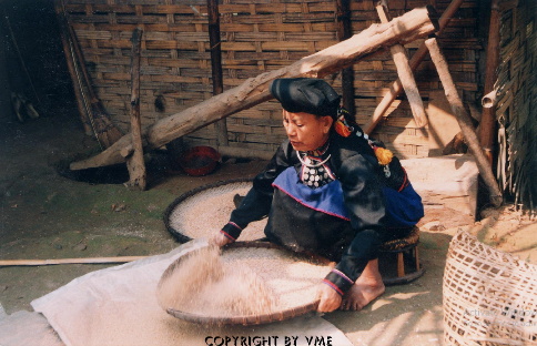 SẨY GẠO (Mường Tè, Lai Châu, 2004)