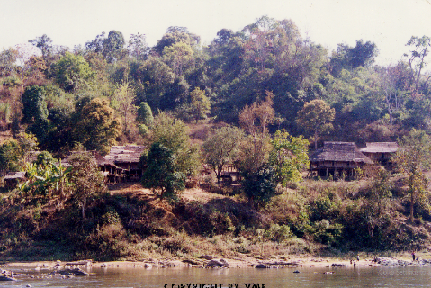 MỘT GÓC BẢN XINH-MUN (Điện Biên Đông, Điện Biên, 1996)