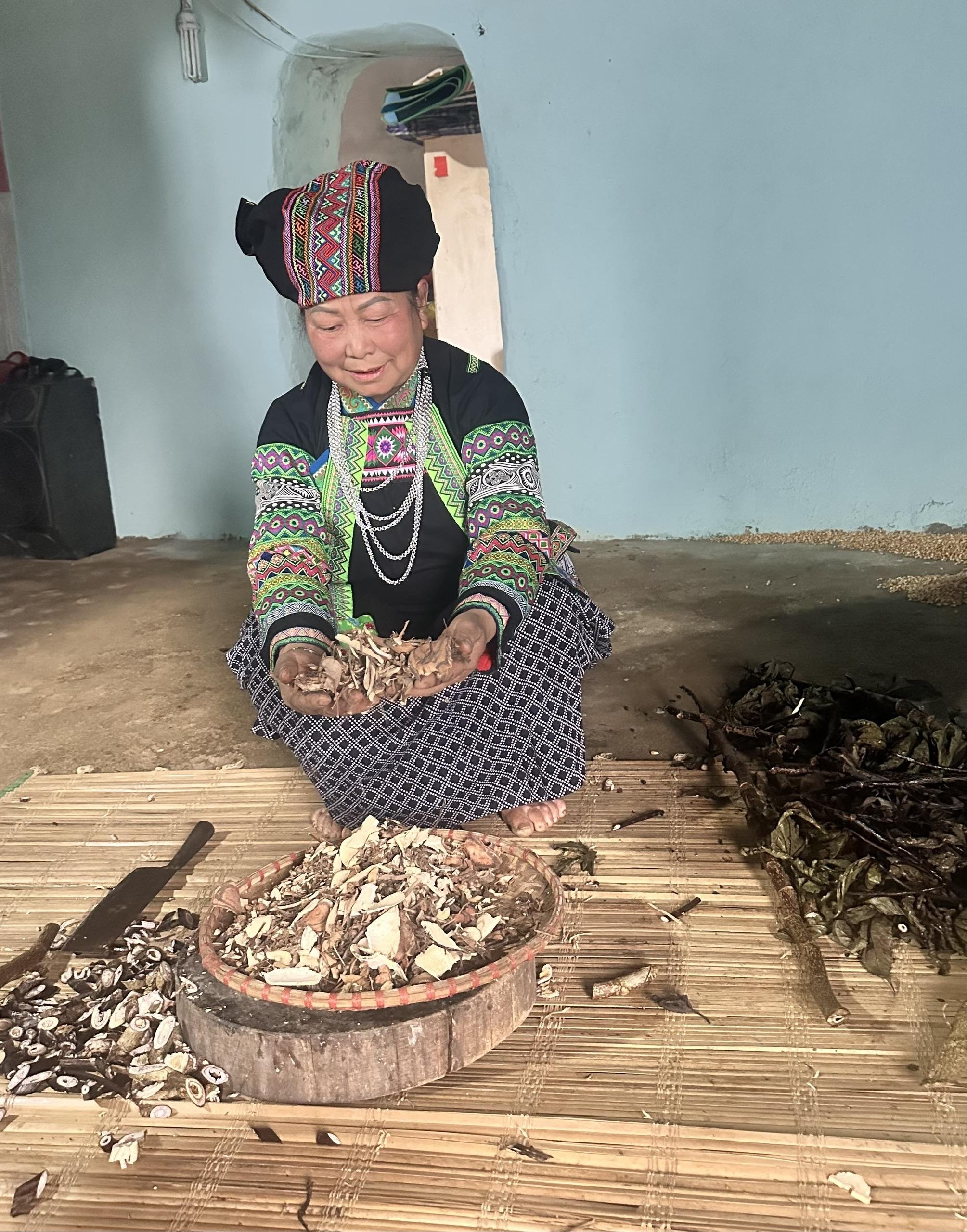 PHỤ NỮ BỐ Y CHẾ BIẾN CÂY THUỐC NAM ĐỂ CHỮA BỆNH (xã Quyết Tiến, Quản Bạ, Hà Giang, 2025). Ảnh: Võ Thị Mai Phương