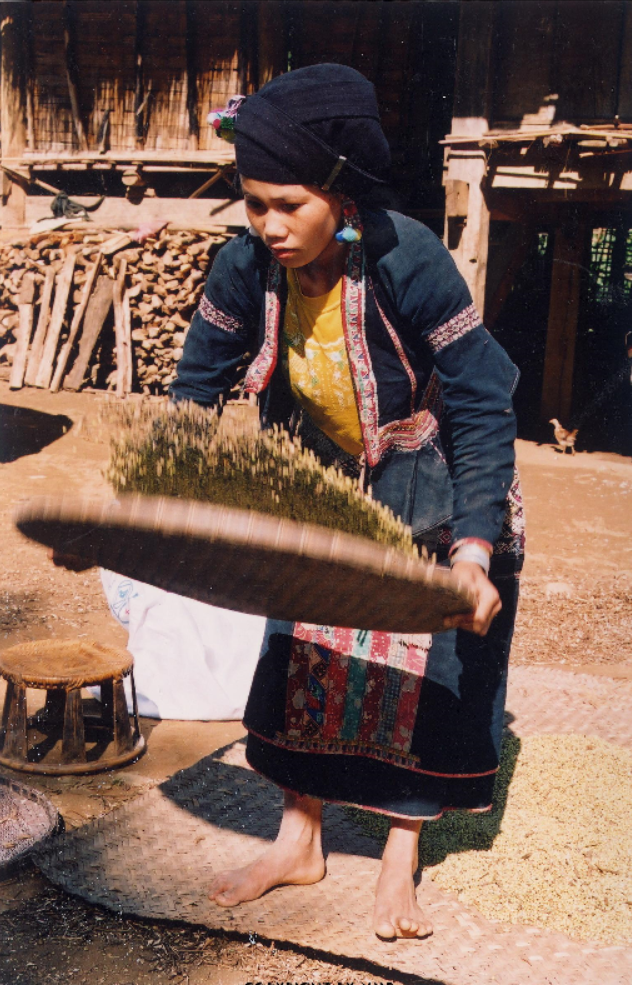 SẢY ĐỖ (Tam Đường, Lai Châu, 2004)