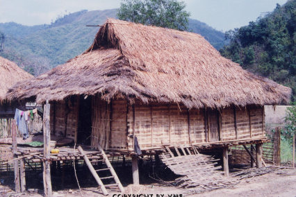 NHÀ Ở LÀM BẰNG CÁC VẬT LIỆU TỪ TỰ NHIÊN (Mường Lay, Điện Biên, 1996)