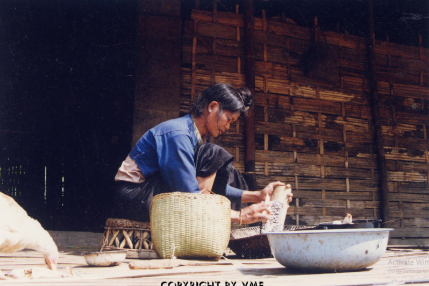 NẠO SẮN (Mường Lay, Điện Biên, 1996)