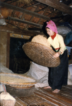 SẢY THÓC (Tân Lạc, Hòa Bình, 1998)