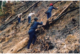 Trỉa lúa người Cơ-tu (Tây Giang, Quảng Nam, 2004)