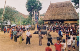 Lễ đâm trâu người Cơ-tu (Tây Giang, Quảng Nam, 2004)