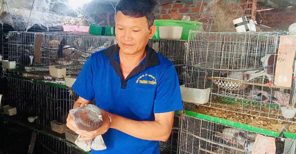 Thành công từ mô hình chăn nuôi