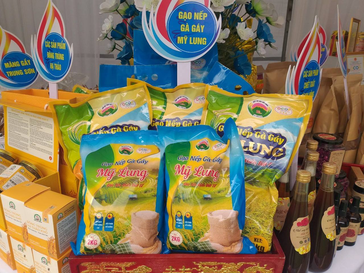 Trồng nếp Gà Gáy nông dân đạt doanh thu 90 triệu đồng/ha